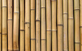 Printelt irodai üveg térelválasztó bambusz mintával